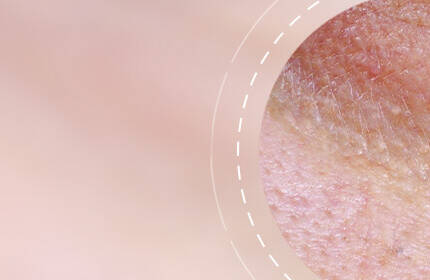Anti-Aging Creams SkinCeuticals