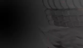 Skin Science