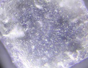 Zinc PCA Ingredient Image