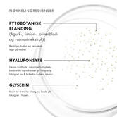 Nøkkelingredienser
