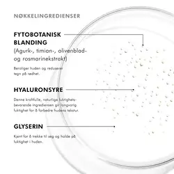 Nøkkelingredienser