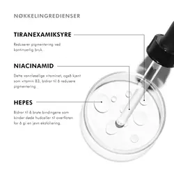 Konsistens