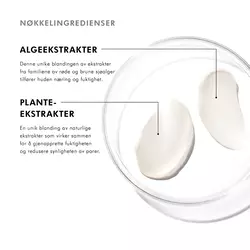 Nøkkelingredienser