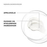 Nøkkelingredienser
